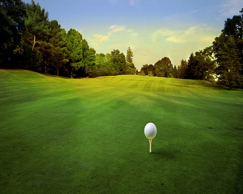 Golf Pic