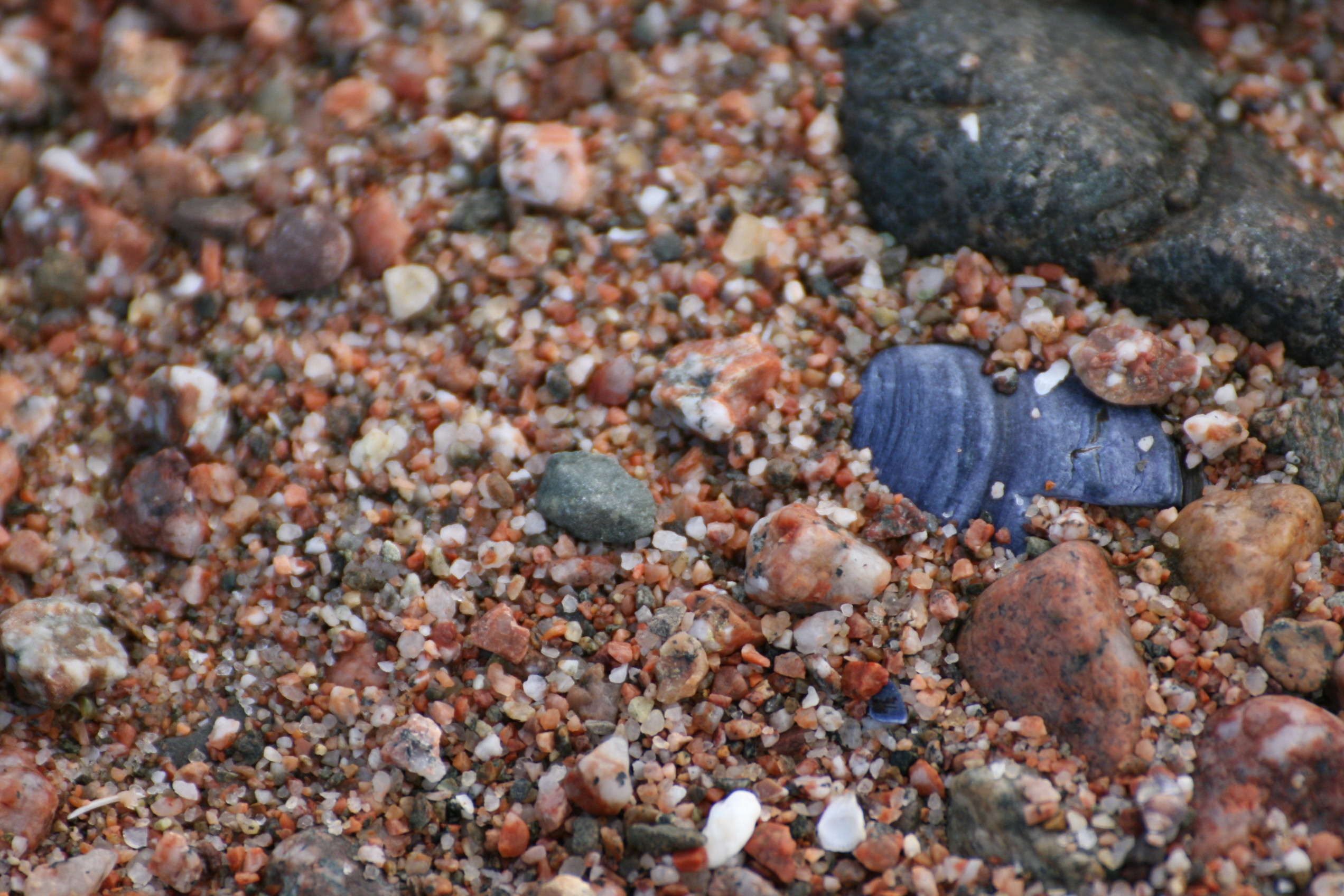 Close up picture of multicoloured rocks and shells on beach.